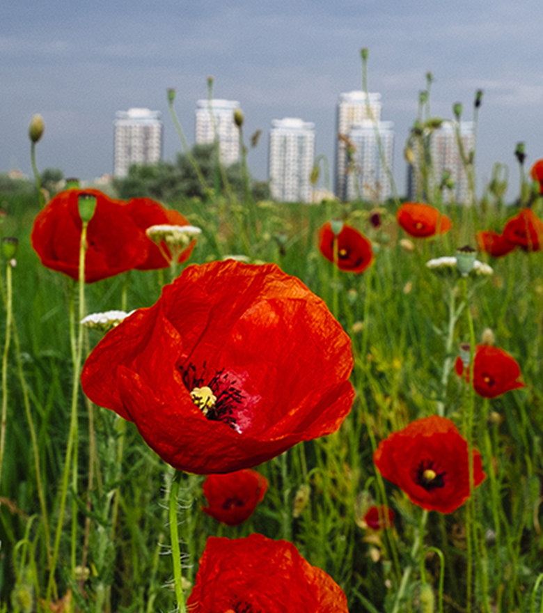 home_parc_vacarestis2_pic11