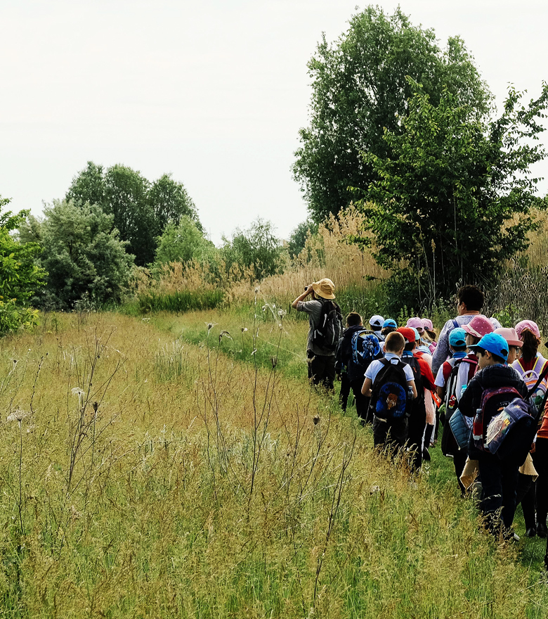 home_parc_vacarestis2_EXPLORARE