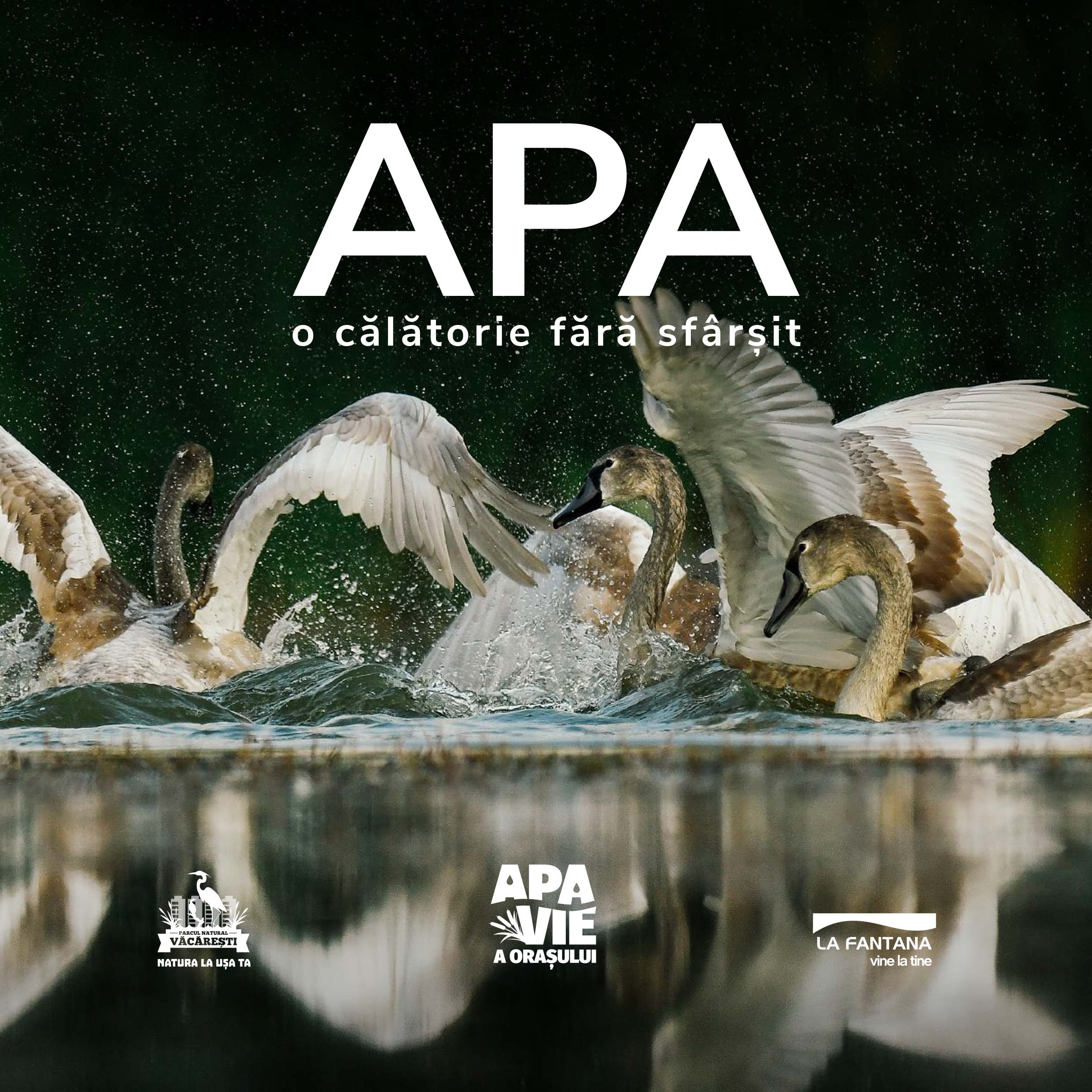 apa – o calatorie fara sfarsit
