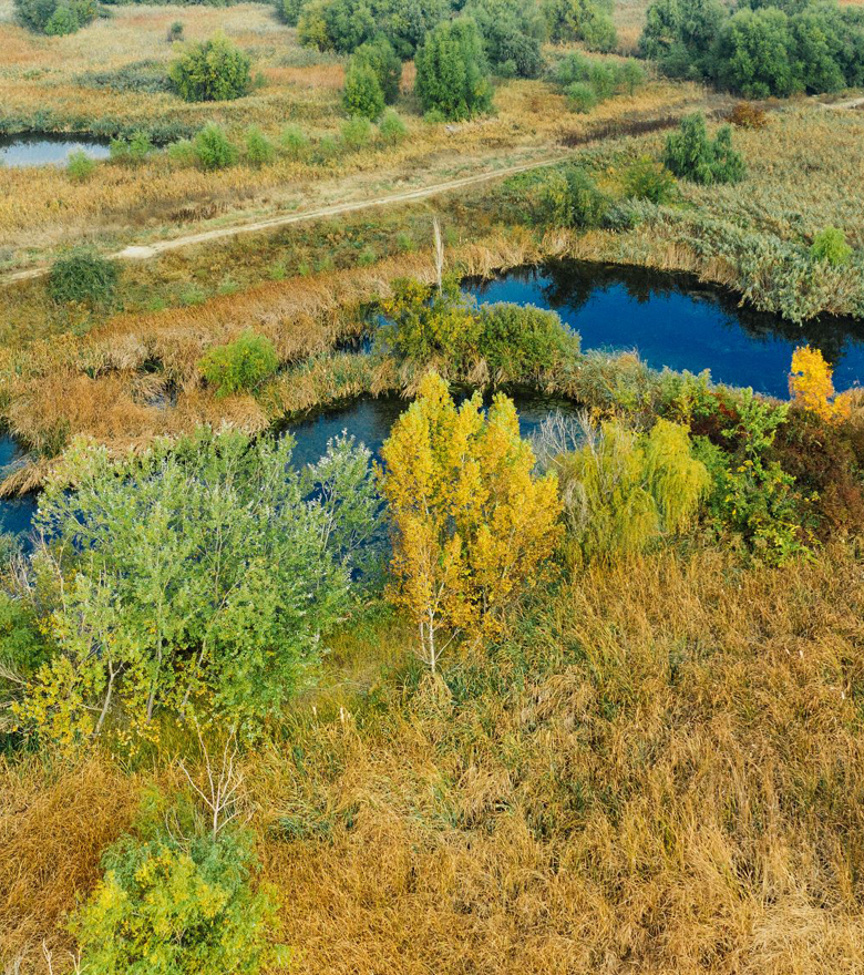 home_parc_vacarestis2_BIKE_PLIMBARI