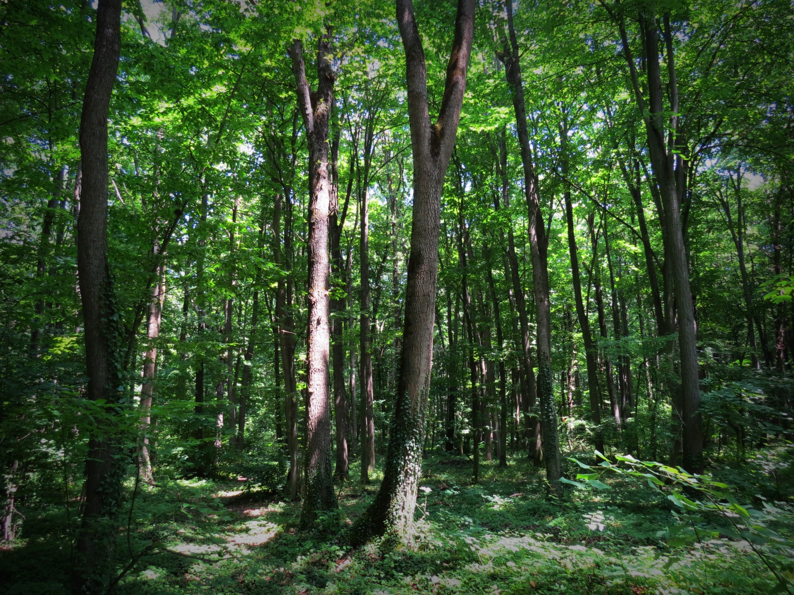 WhatsApp-Image-2023-09-28-at-14.18.05