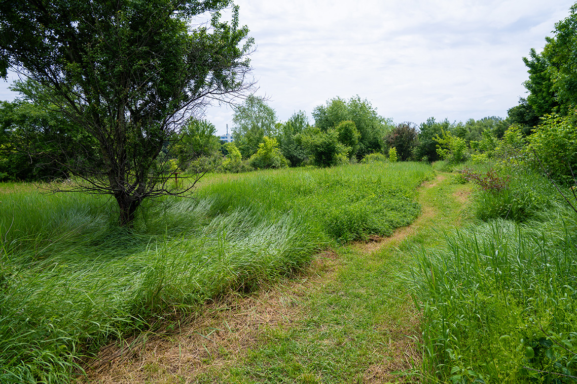 250524-DSC00278-photocredit-alexbusuioceanu small