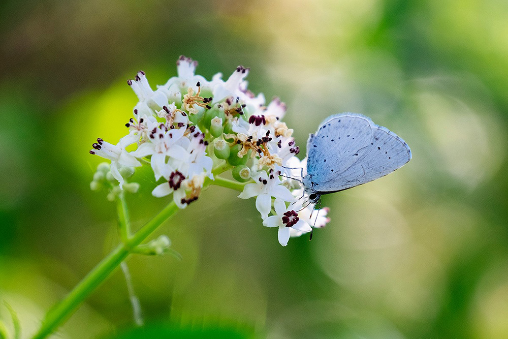 poza mica homepage_1