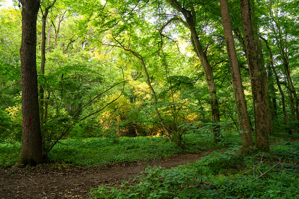 poza mica homepage_3