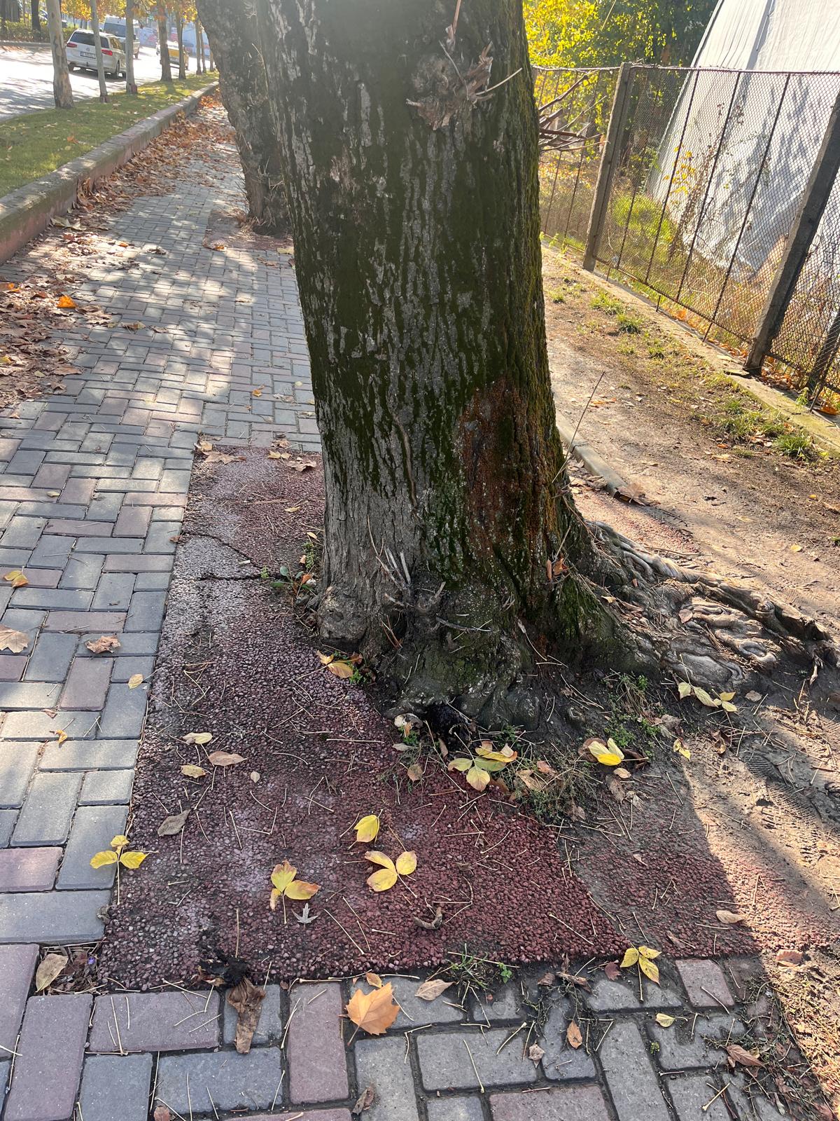 WhatsApp Image 2025-10-23 at 15.05.25