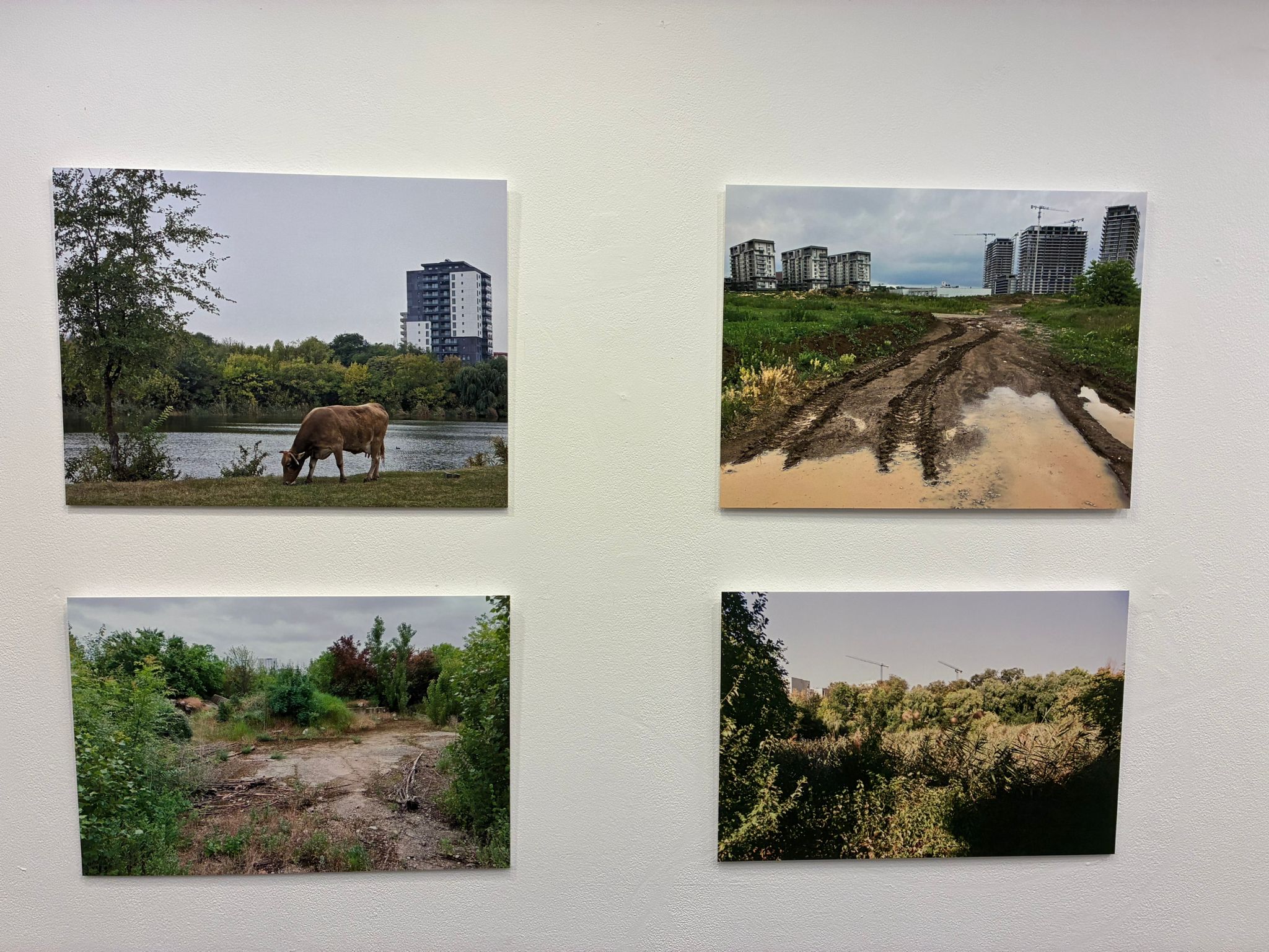 WhatsApp Image 2025-10-24 at 07.05.17