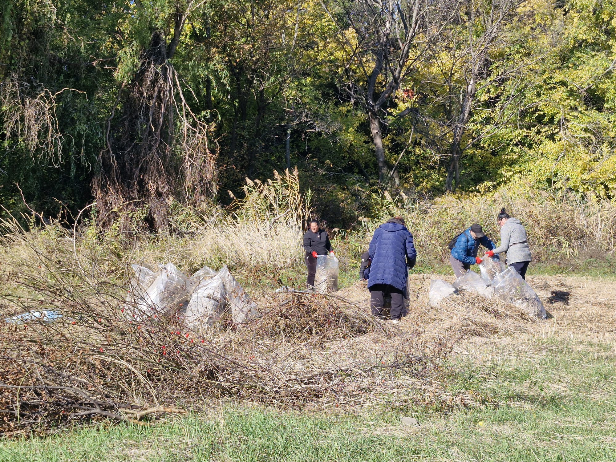 WhatsApp Image 2025-10-26 at 10.05.37 (1)