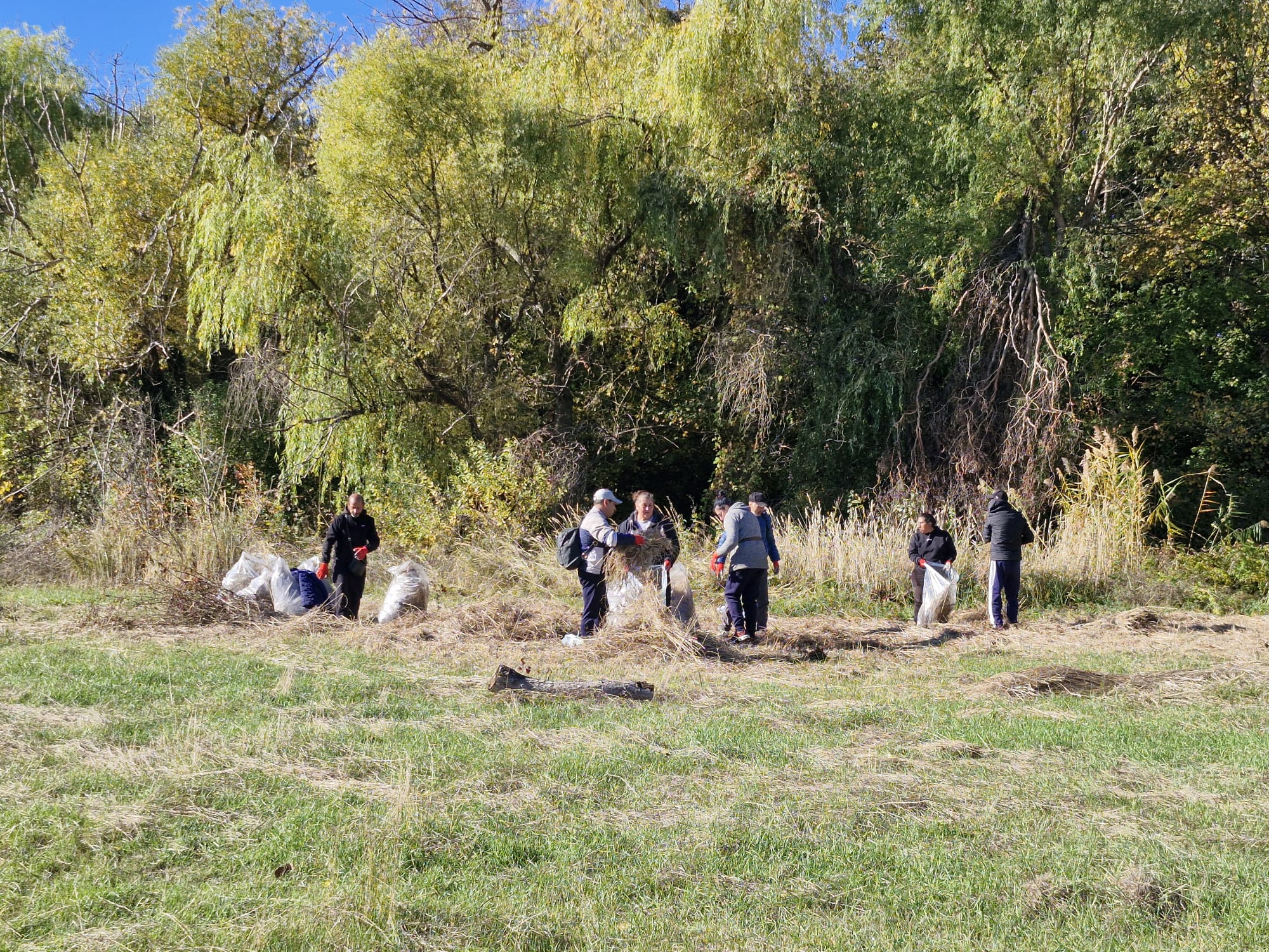 WhatsApp Image 2025-10-26 at 10.05.38 (1)