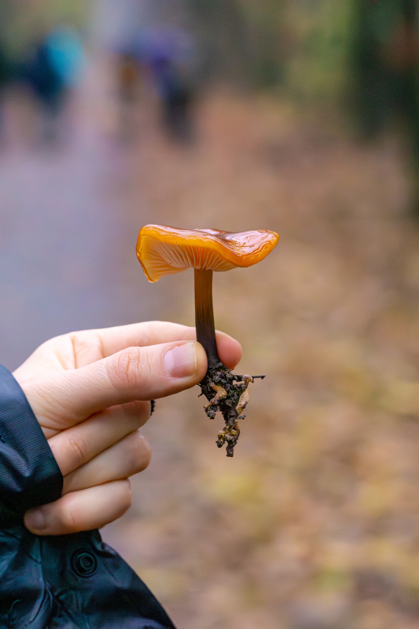 578397049_1149398960742300_3355780182366154643_n