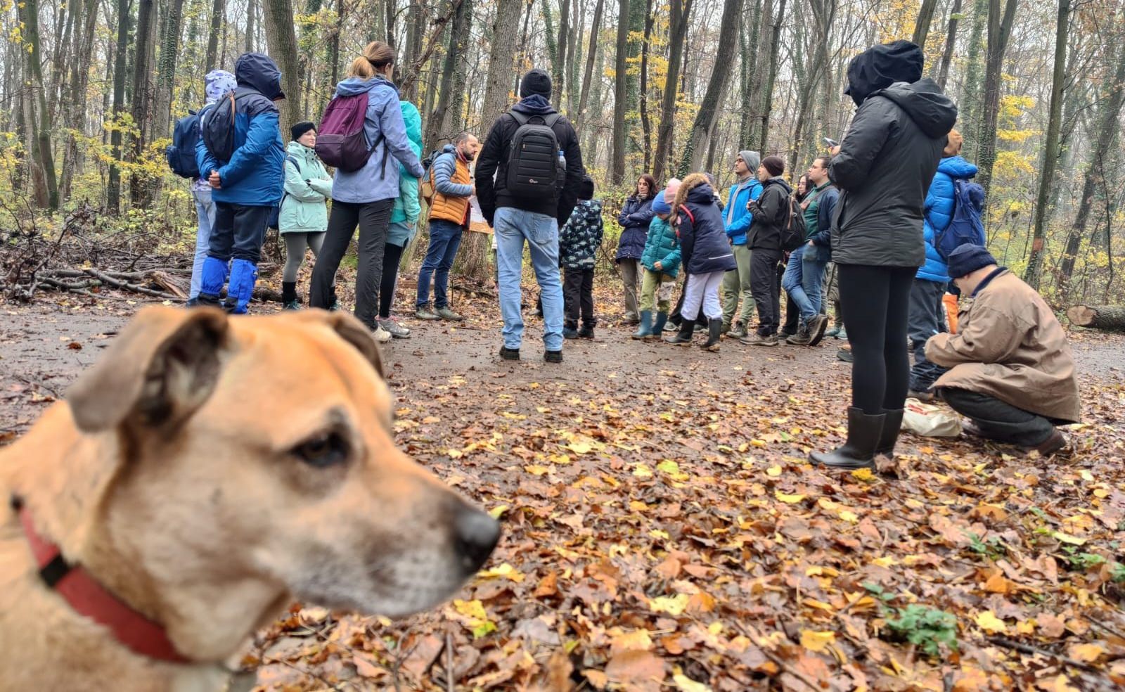 579864887_1149438940738302_5686524150543156497_n