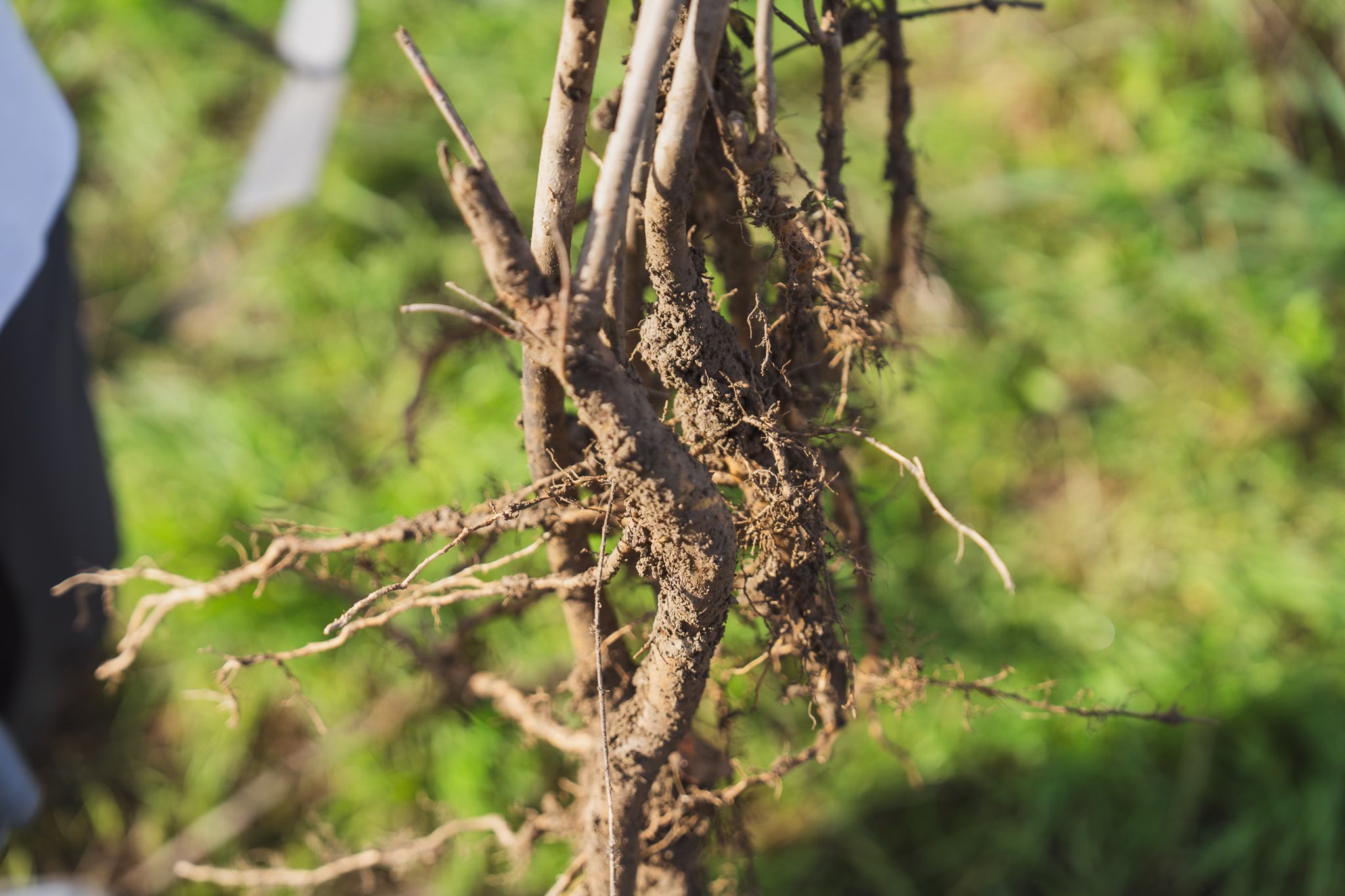 588780282_1160753629606833_1684112322418117402_n