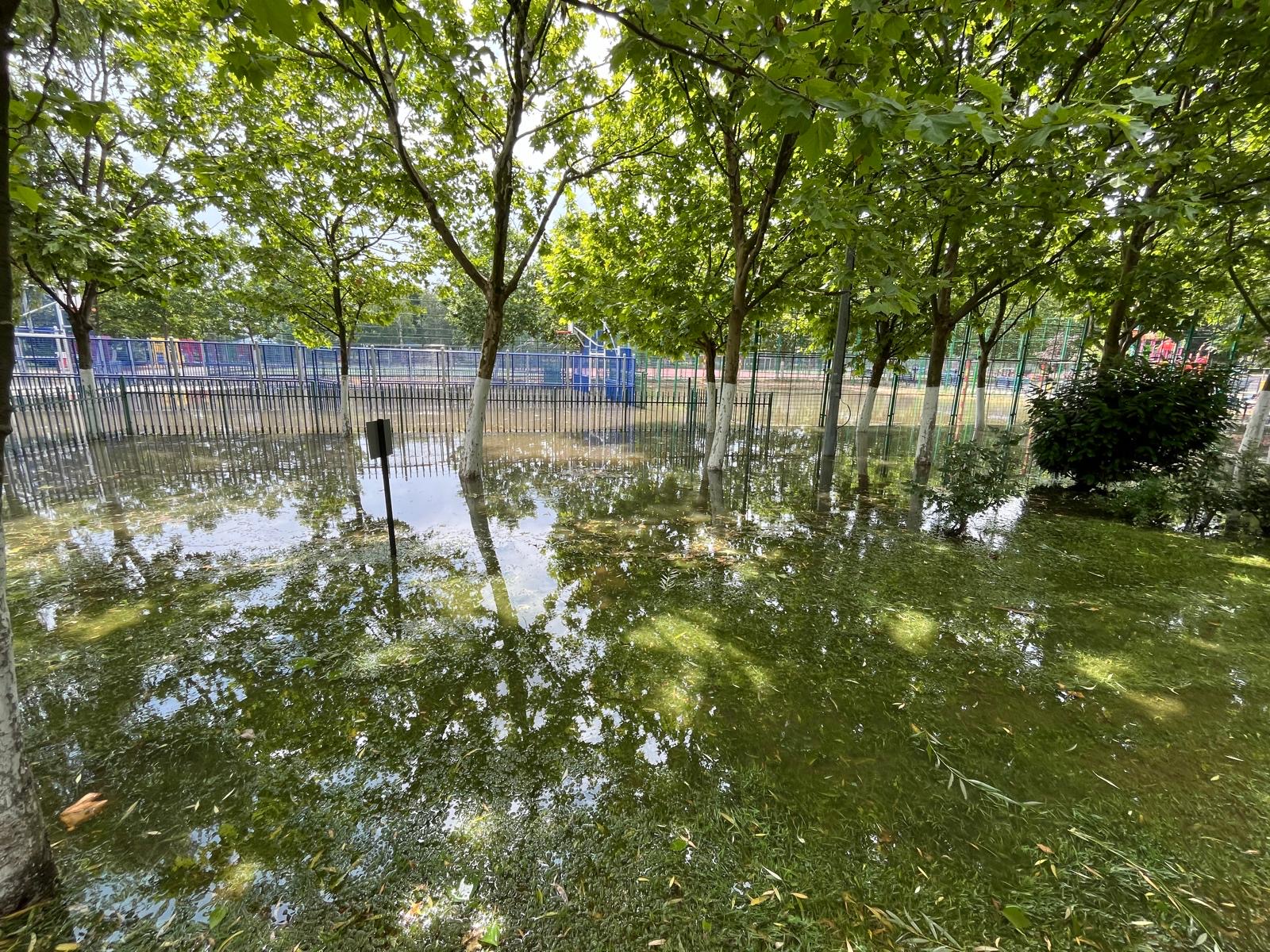 a1587438-5e0e-4942-abba-08b195c29e41