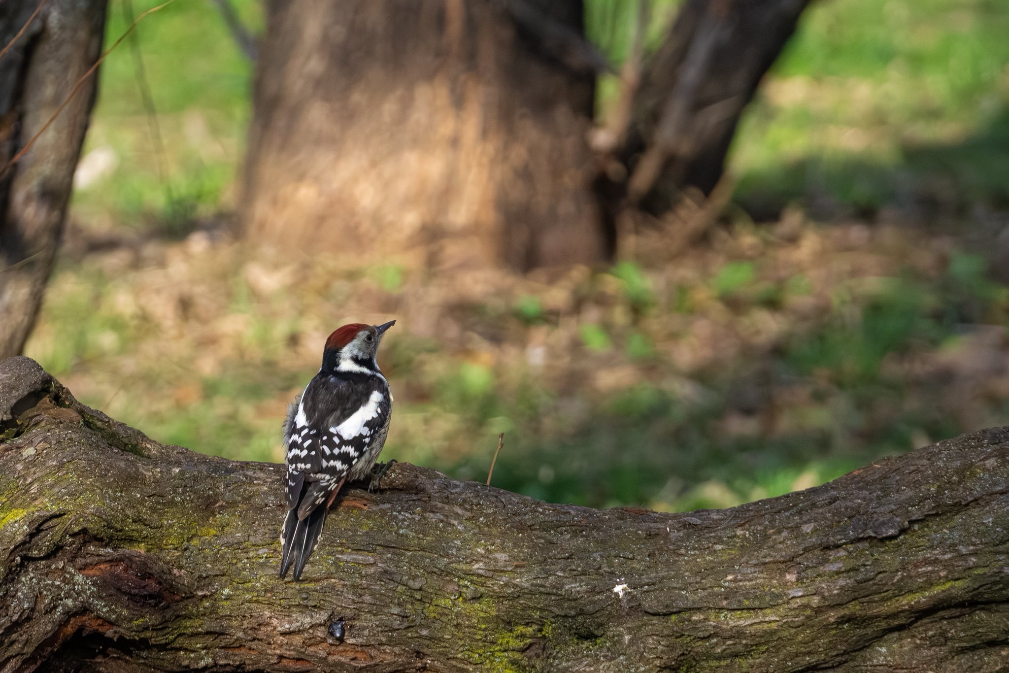 599757931_1175274758154720_5419175941625146282_n