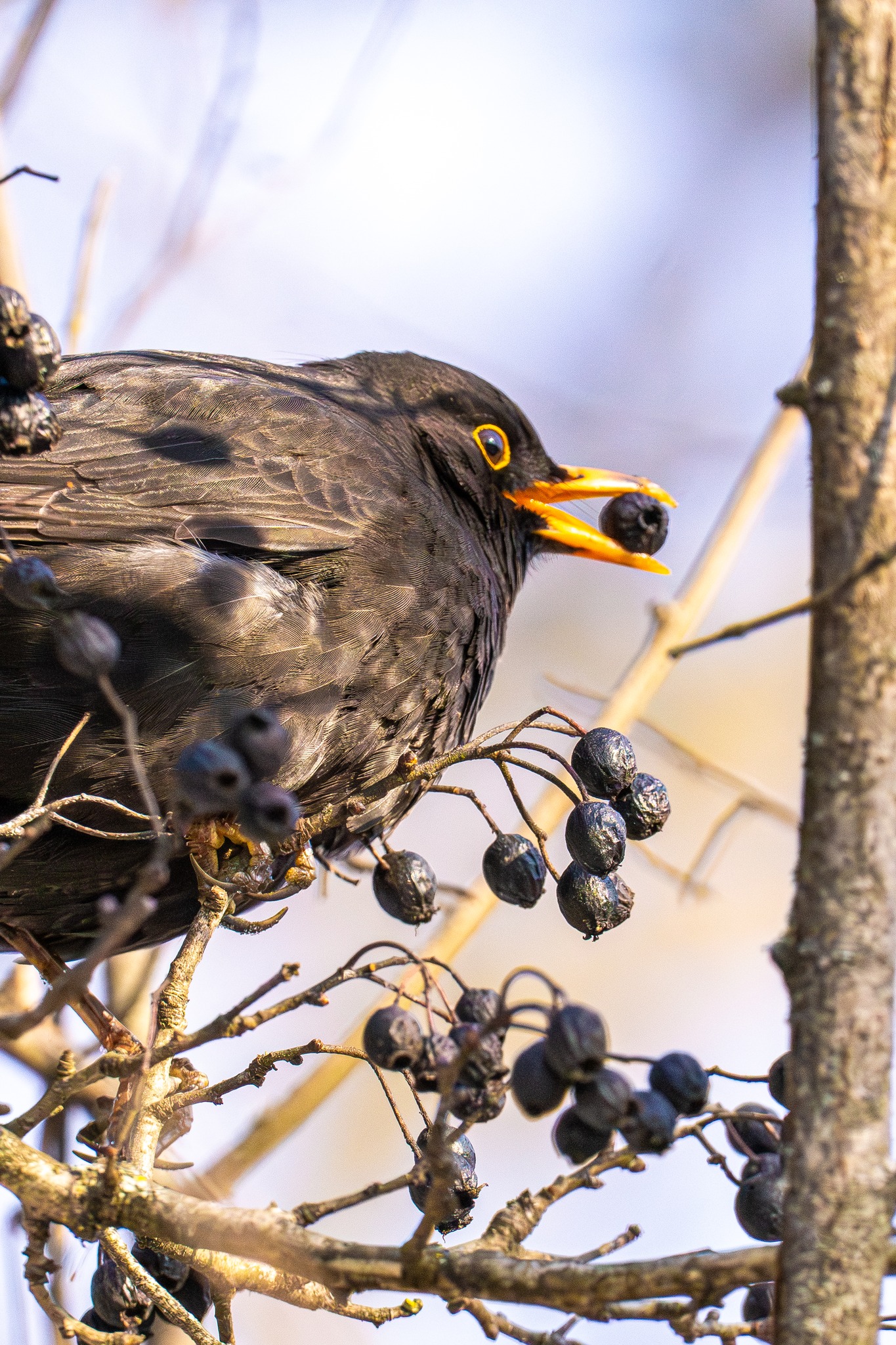 615380137_1200746715607524_8236842445860992306_n