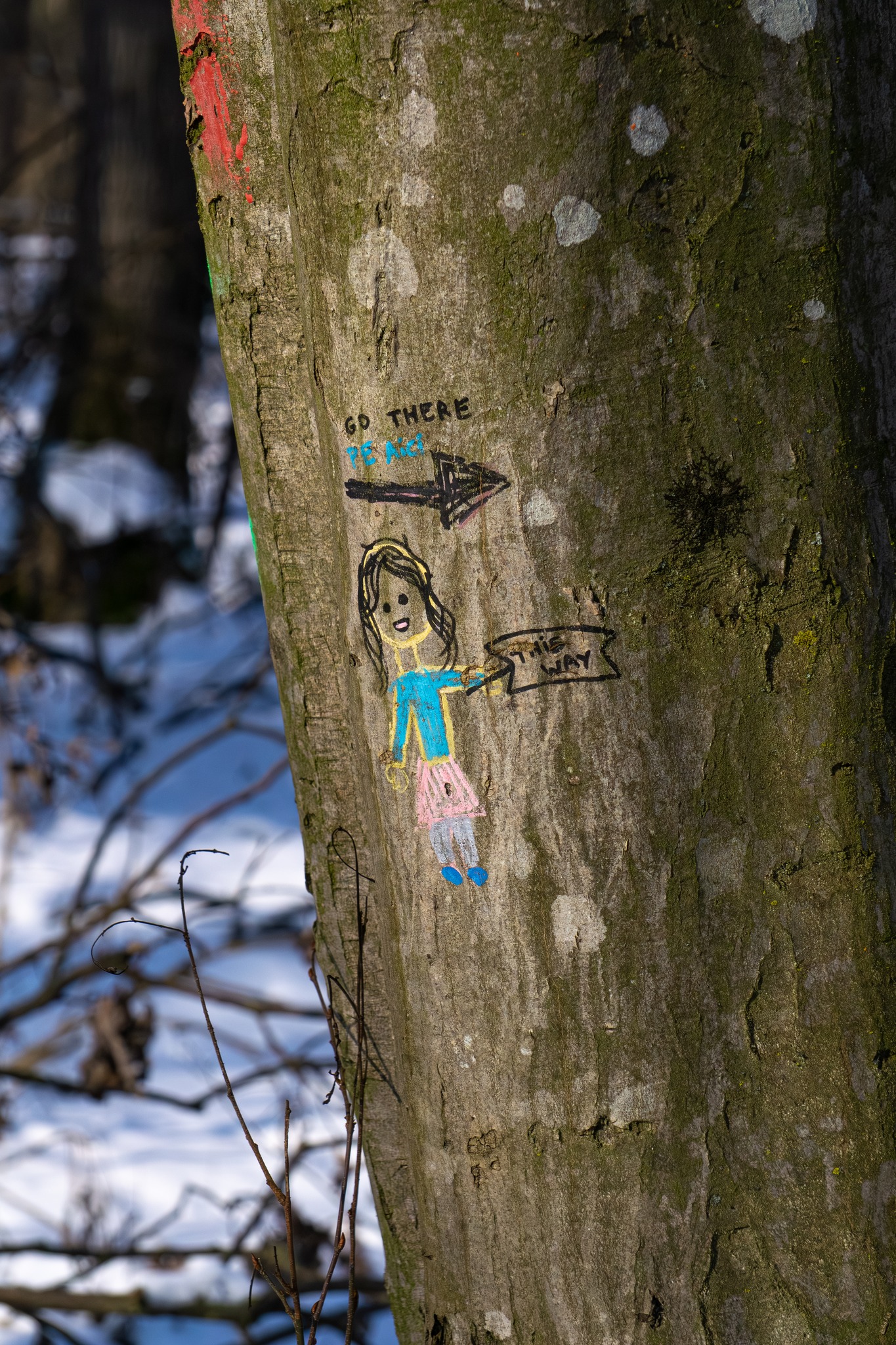 615442288_1200744998941029_6800524337485246608_n