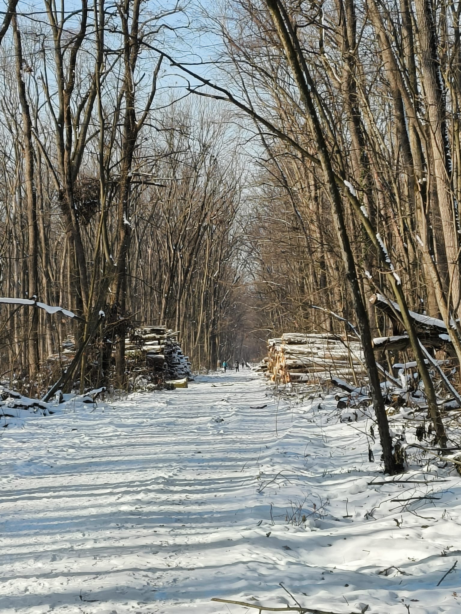 616126403_1200751942273668_6759941476684886456_n