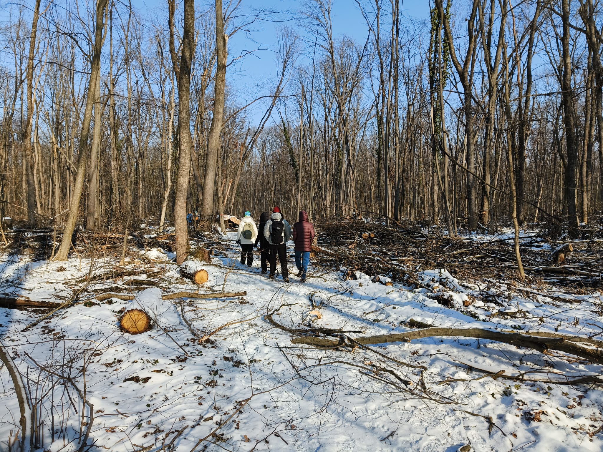 616409834_1200752082273654_5672005401252835058_n