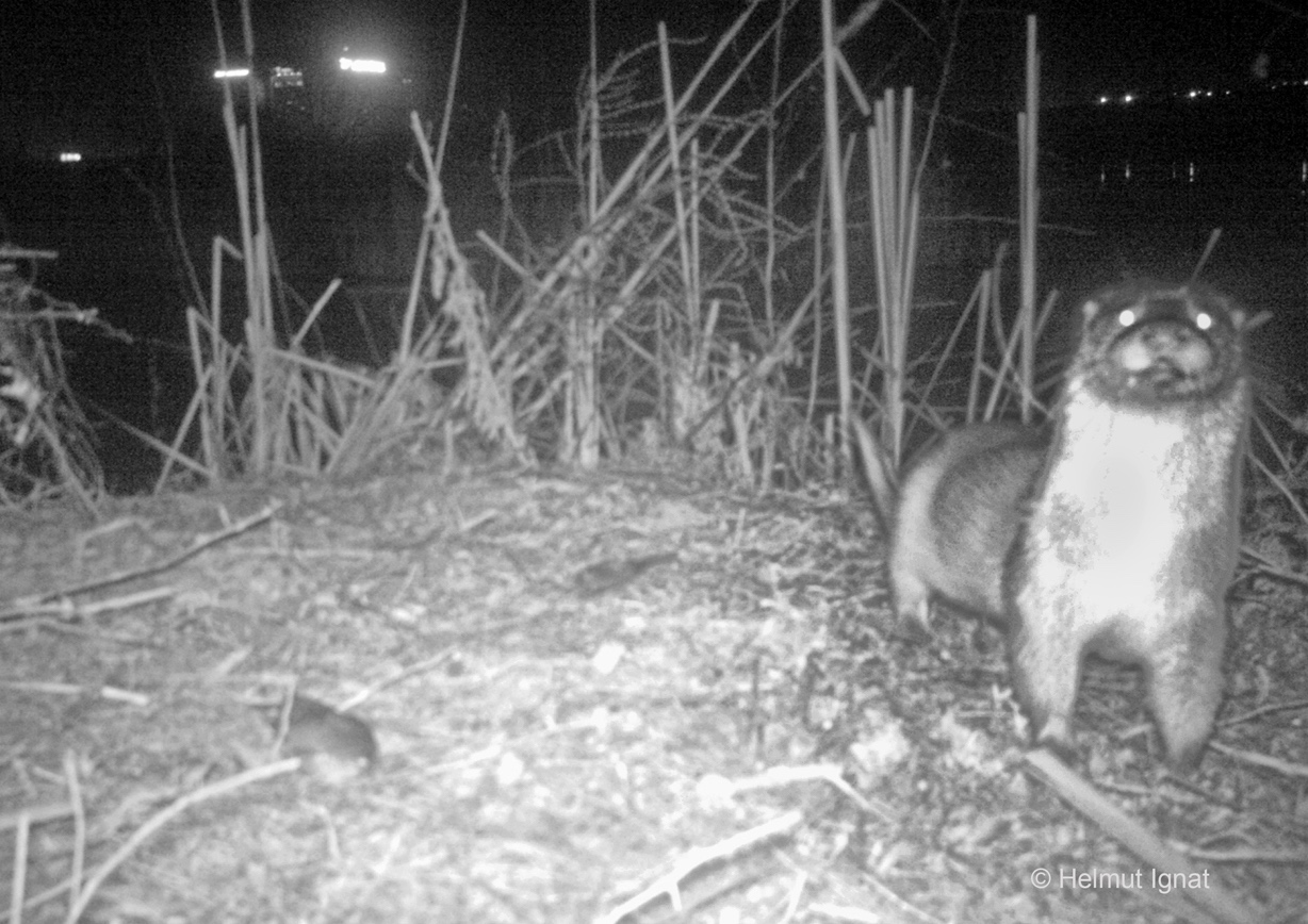 WhatsApp Image 2026-01-15 at 18.53.44