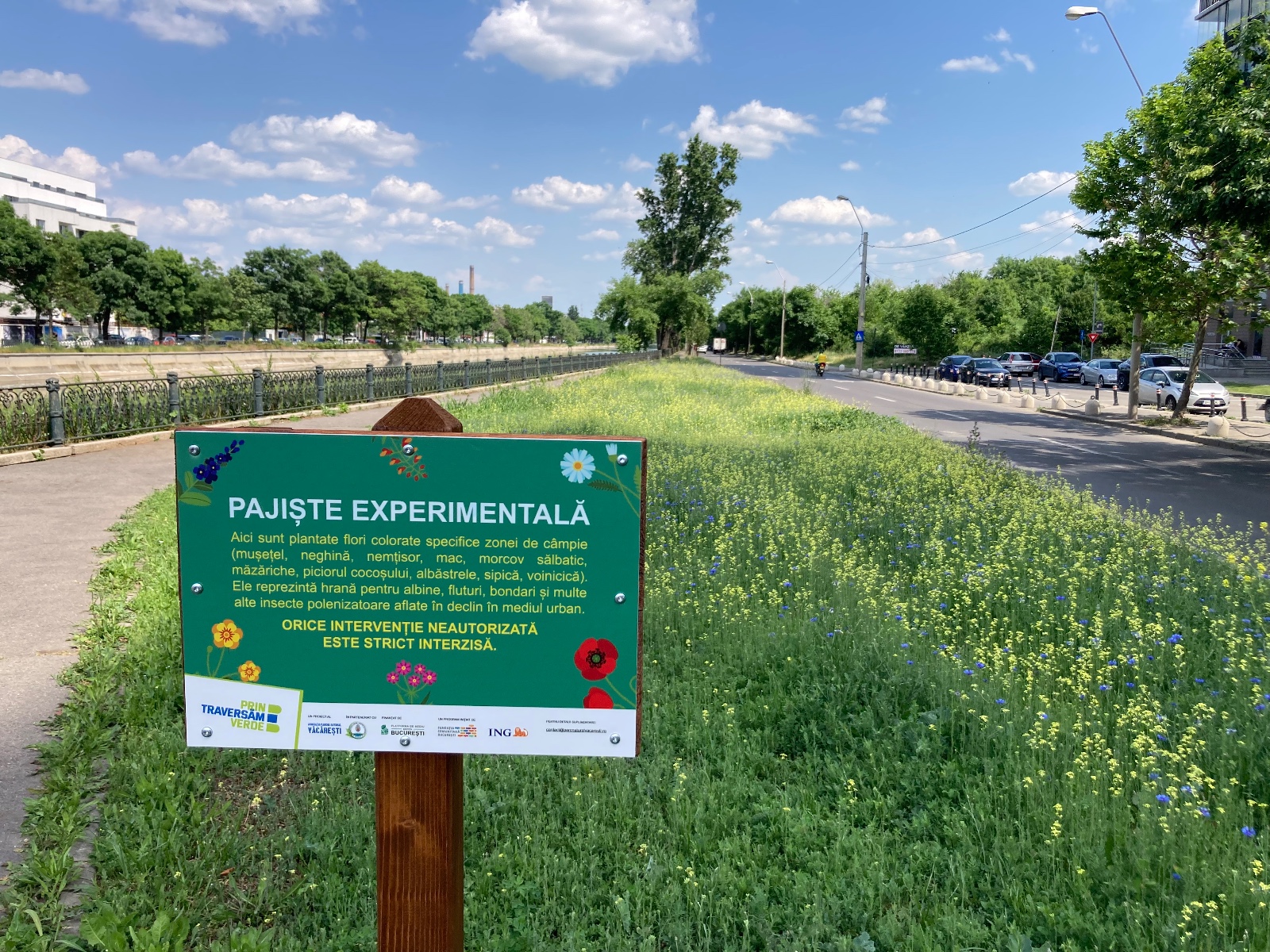 WhatsApp Image 2026-01-15 at 18.54.20