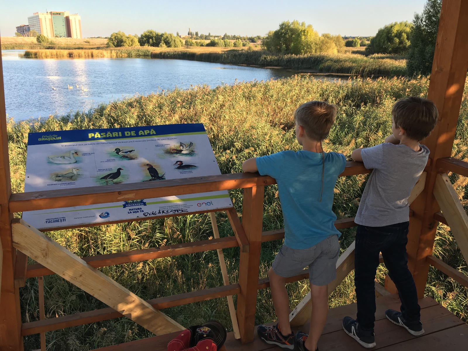 WhatsApp Image 2026-01-15 at 18.55.02