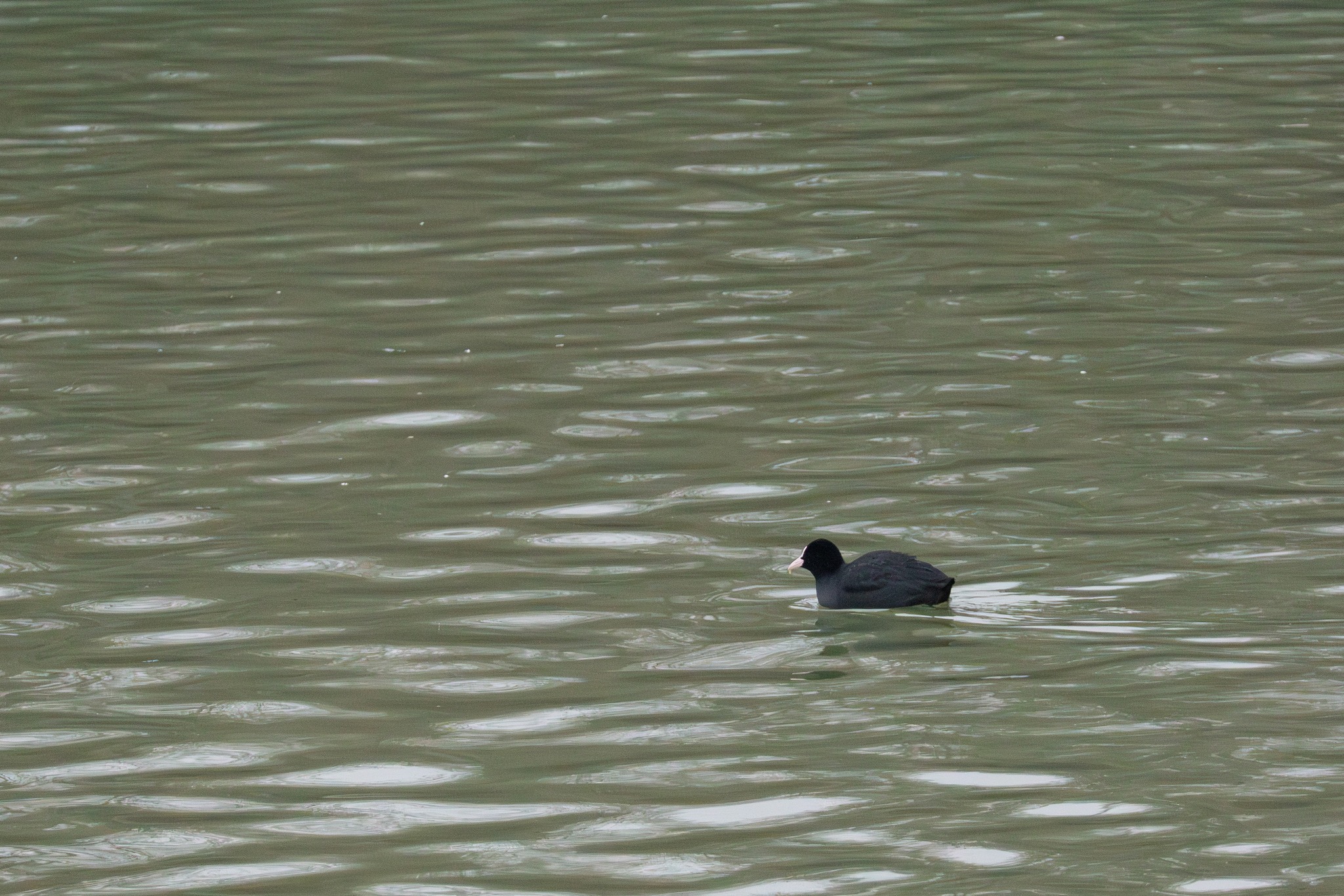 626630312_1212390774443118_8327251983066445234_n