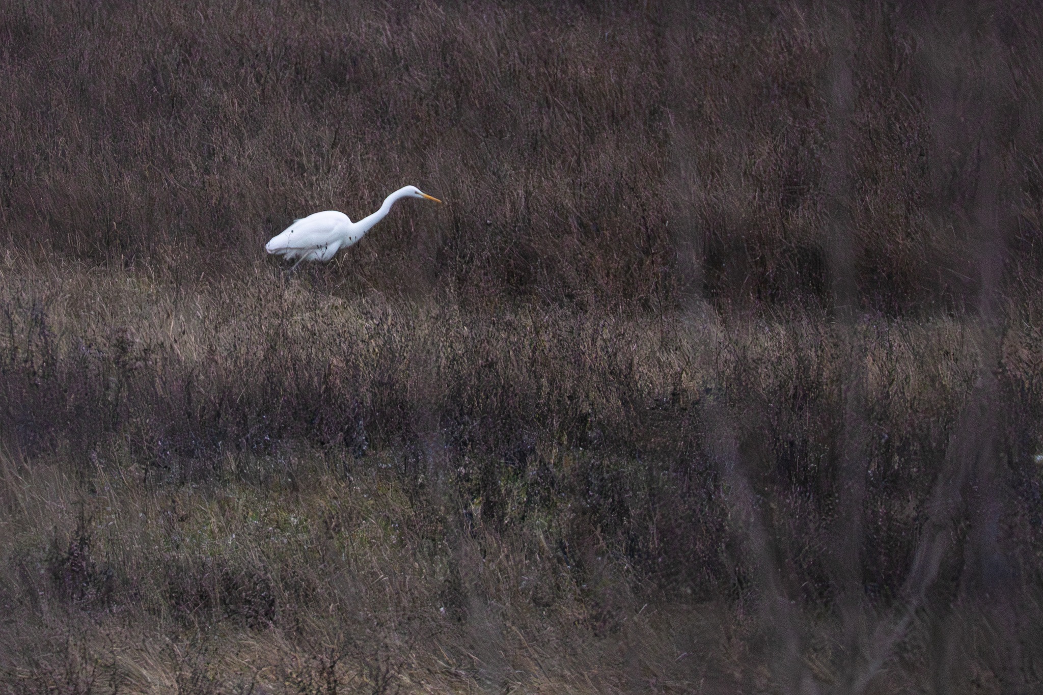 627018975_1212391097776419_3875823283093458582_n