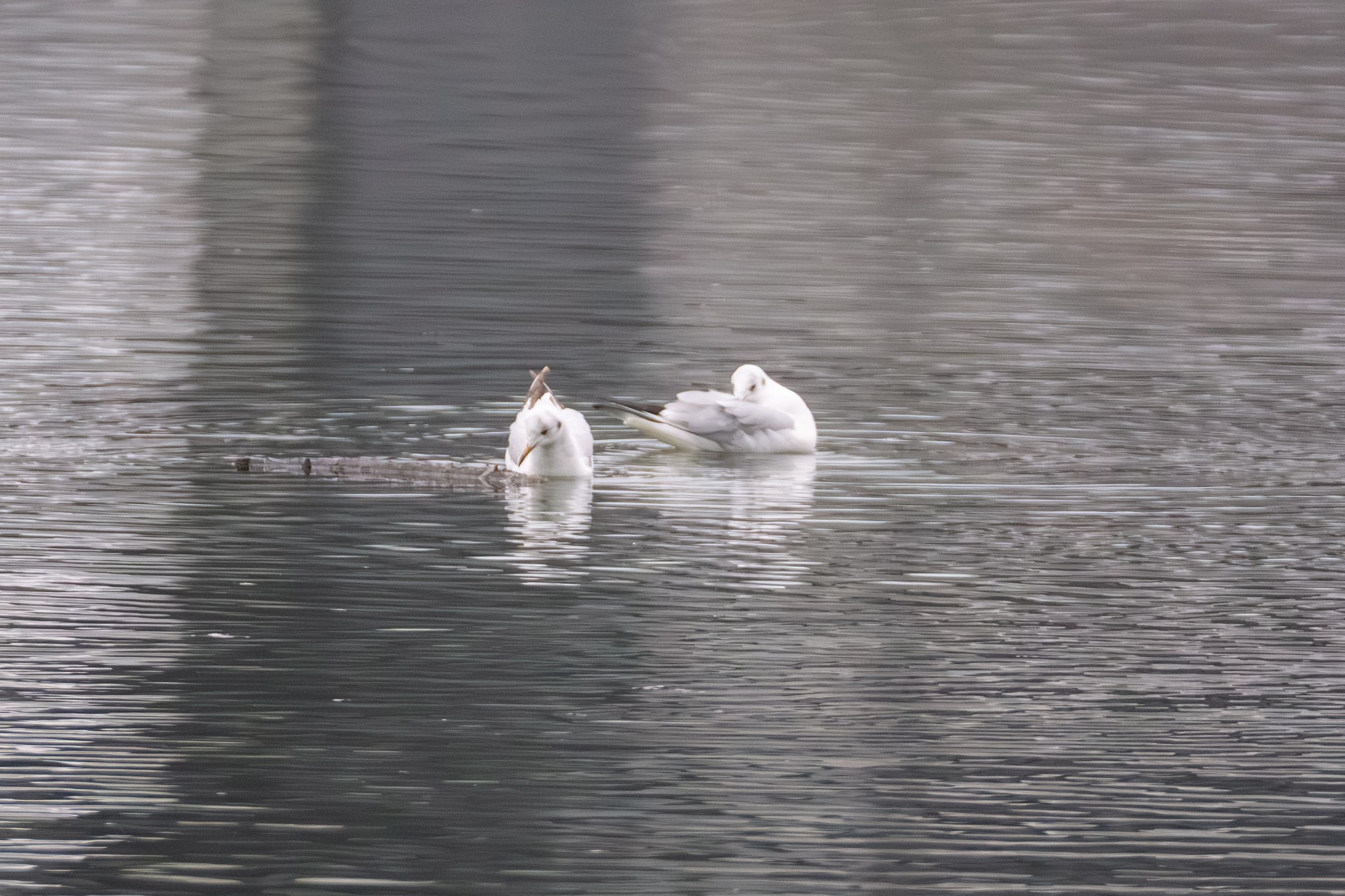 630918514_1219653687050160_7167284975976104905_n