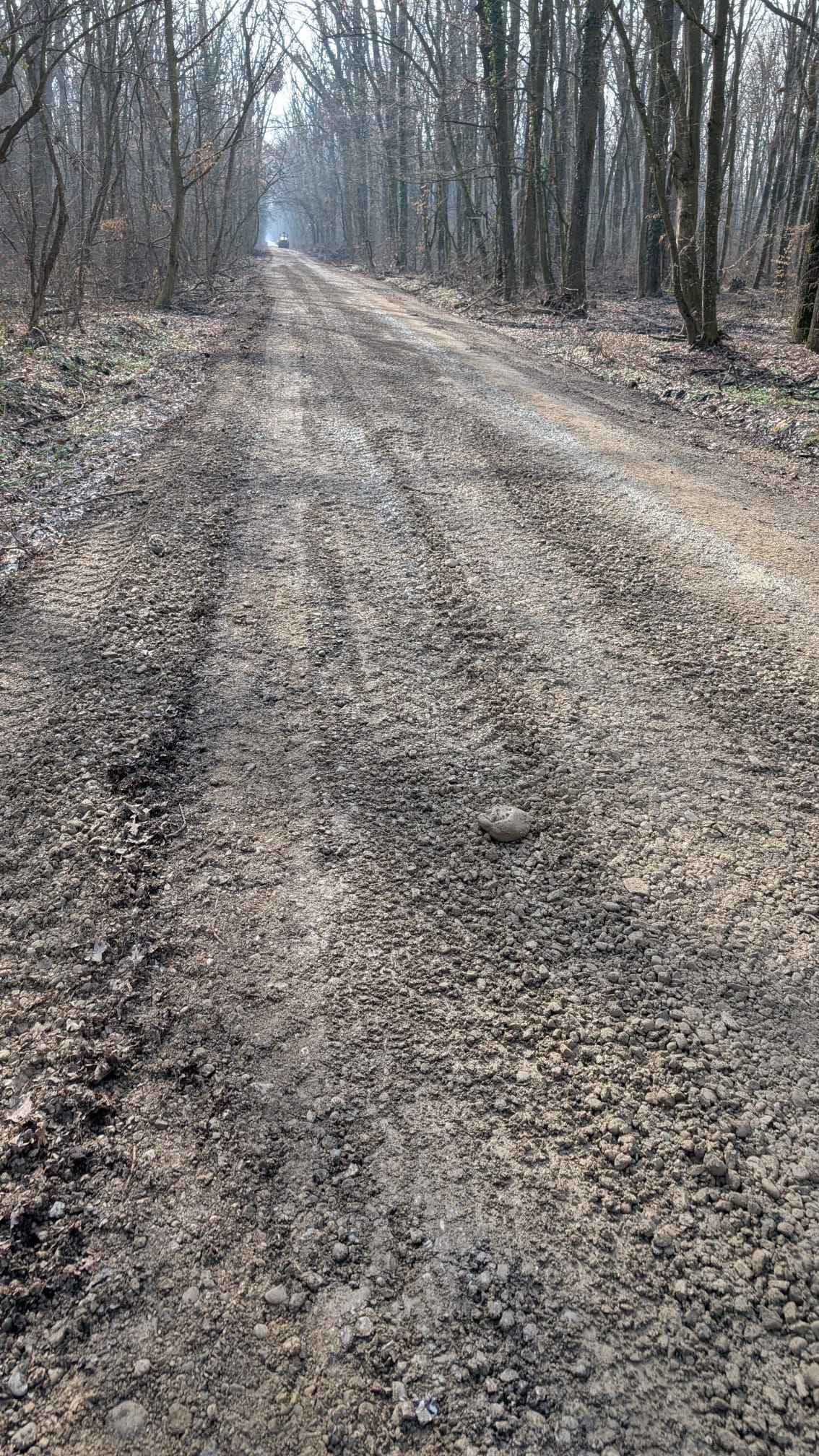 634041119_1221472950201567_3906544751078652129_n